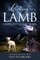 Living Like A Lamb Among 21st Century Wolves