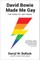 David Bowie Made Me Gay