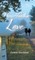 Nine-Tenths Love