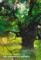 The Accidental Garden