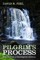 Pilgrim's Process