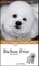 Bichon Frise