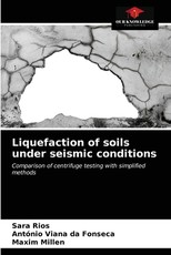 Liquefaction of soils under seismic conditions