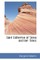 Saint Catherine of Siena and Her Times
