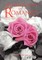 Interpretations of Romance