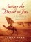 Setting the Desert on Fire: T. E. Lawrence and Britain's Secret War in Arabia, 1916-1918