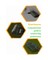 Comprehensive guide to building Greenhouses