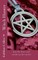 Witch Hunter