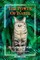 The Power of Isabel - My Cat in the Palms