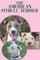 The American Pitbull Terrier
