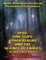 UFOs, Time Slips, Other Realms, And The Science Of Fairies