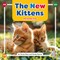 The New Kittens