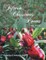 Fifteen Christmas Poems and Some...