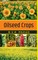 Oilseed Crops
