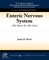 Enteric Nervous System