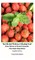 Best Herbal Medicine and Healing Food From Nature to Prevent Insomnia Plus Make Sleep Better English Edition Hardcover Version