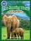 Elephants Activity Workbook for Kids ages 4-8!