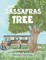 The Sassafras Tree