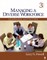 Managing a Diverse Workforce