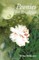 Peonies for Breakfast