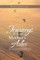 Journeys with My Mother's Ashes