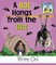 Bat Hangs from the Bat