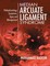 Median Arcuate Ligament Syndrome: Pathophysiology, Symptoms, Signs, and Management