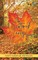 The Scattered Leaves