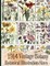 1914 Vintage Botany Botanical Illustration Sizes