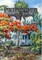 A Tropical Frontier