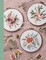 Floral Embroidery