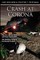 Crash at Corona