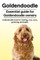 Goldendoodle. Essential guide for Goldendoodle owners. Goldendoodle book for training, care, costs, grooming and health.