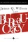 Bureaucracy
