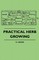 Practical Herb Growing