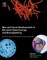 New and Future Developments in Microbial Biotechnology and Bioengineering