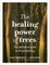 The Healing Power of Trees