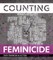 Counting Feminicide