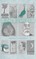 Ten Cities