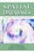 Spatial Databases