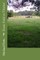 From Field to Thicket
