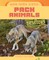 Pack Animals