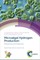 Microalgal Hydrogen Production