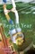 The Repeat Year