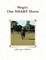 Magic One SMART Horse