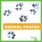 Gleisner, J: Animal Tracks