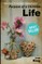 Purpose of a Christian Life