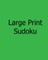 Large Print Sudoku