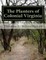 The Planters of Colonial Virginia