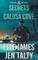 Secrets in Calusa Cove